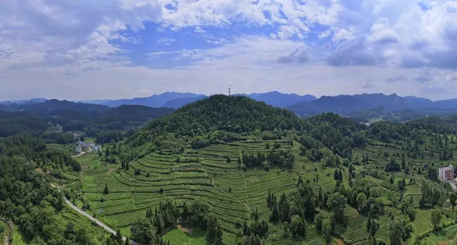 大面山片区图4