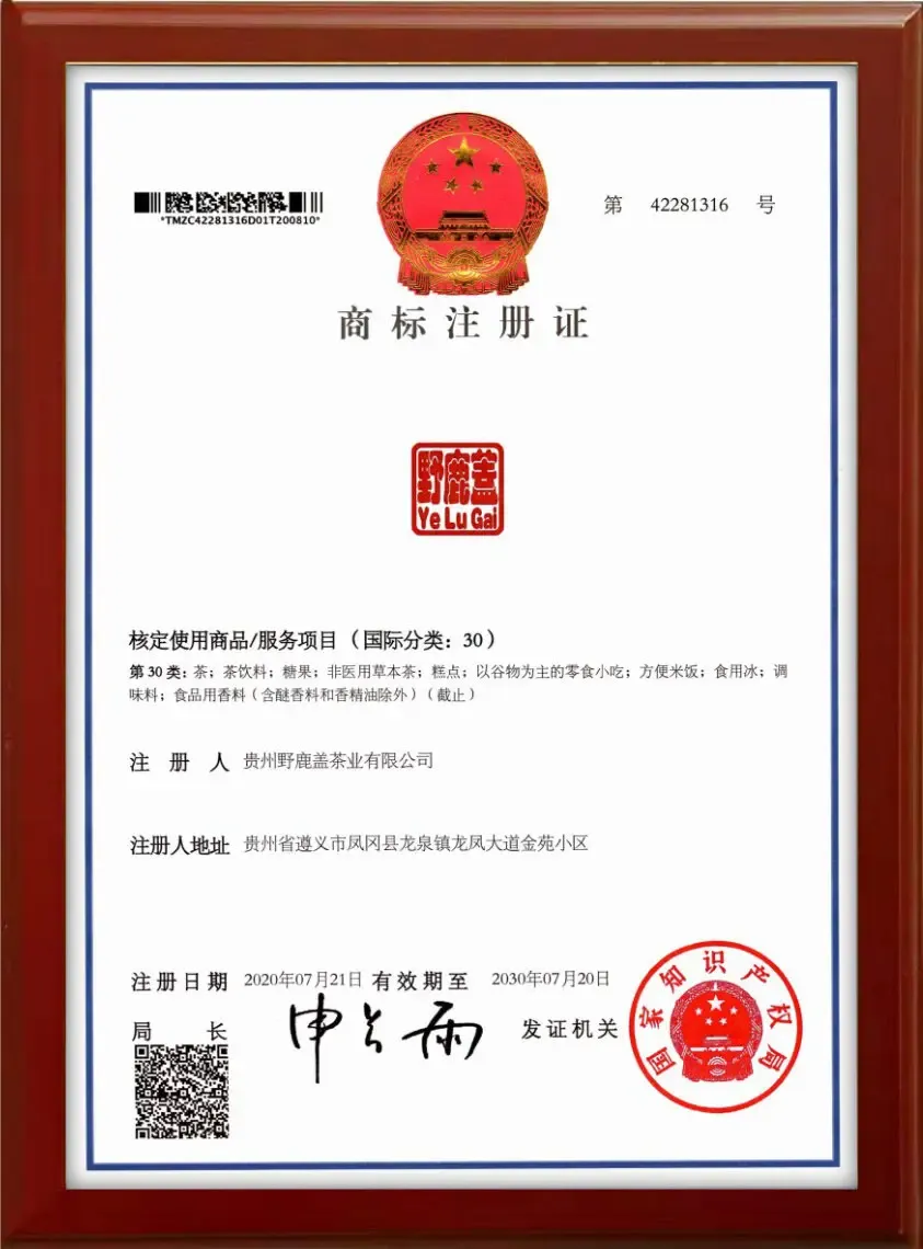 资质证书3