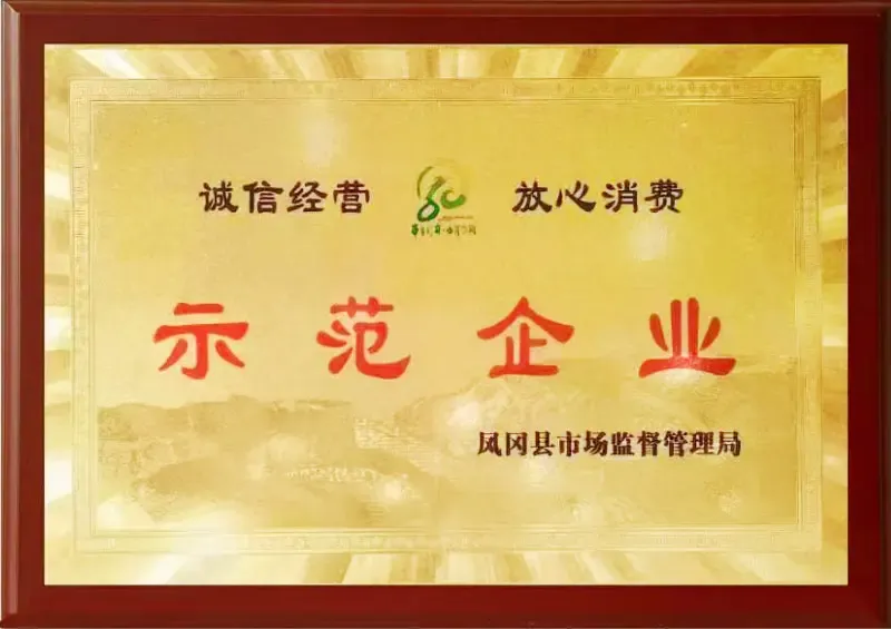 荣誉证书9