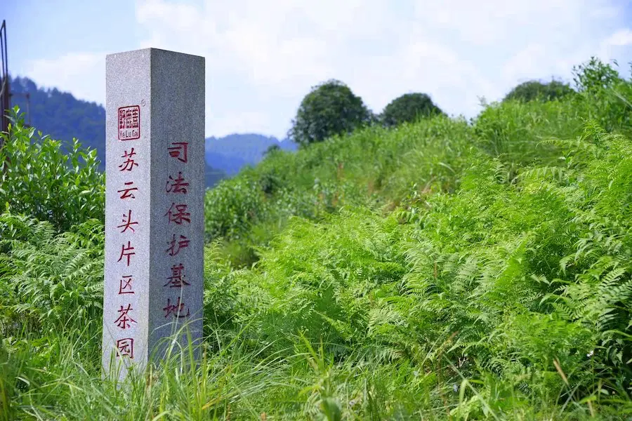 苏云头片区图1