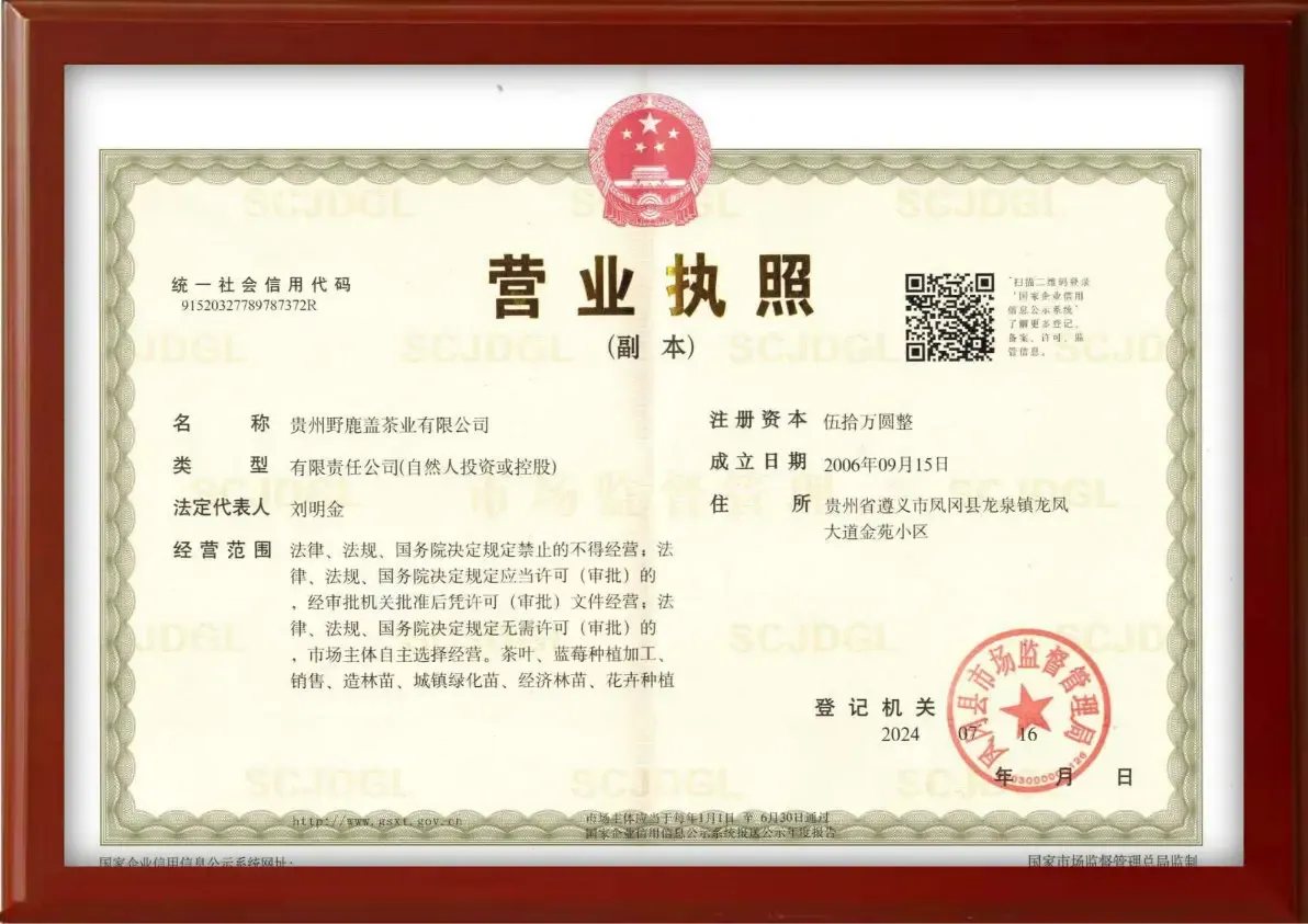 资质证书1