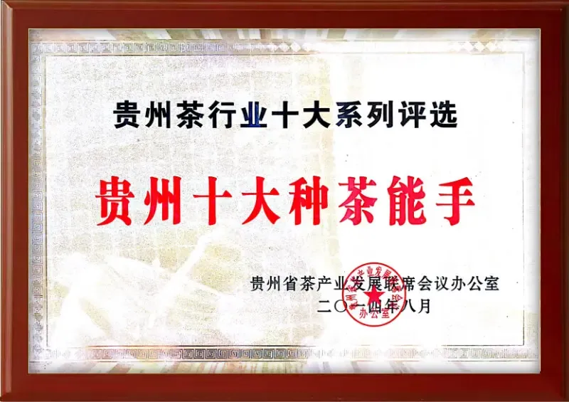 荣誉证书2