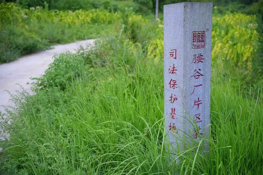 腰谷厂片区图1
