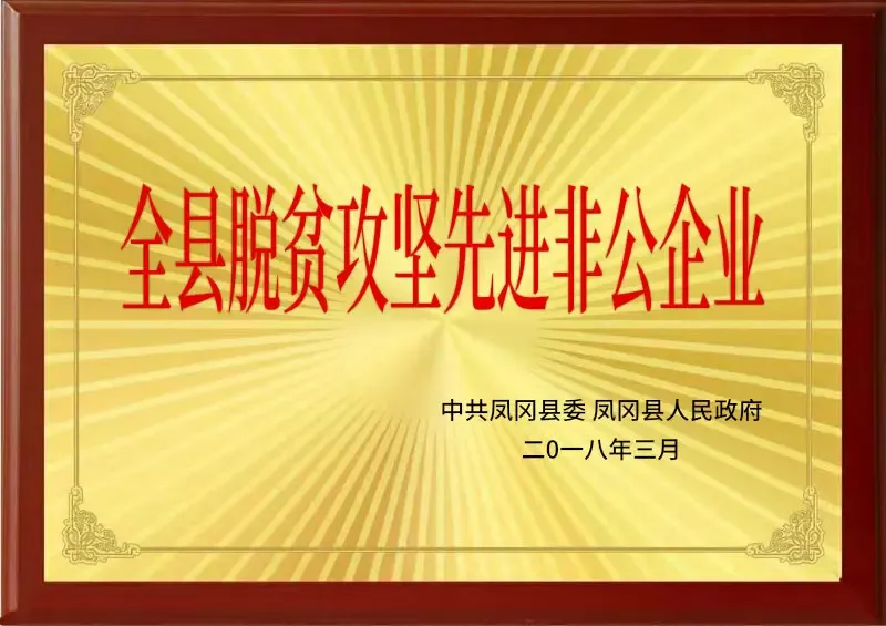 荣誉证书5