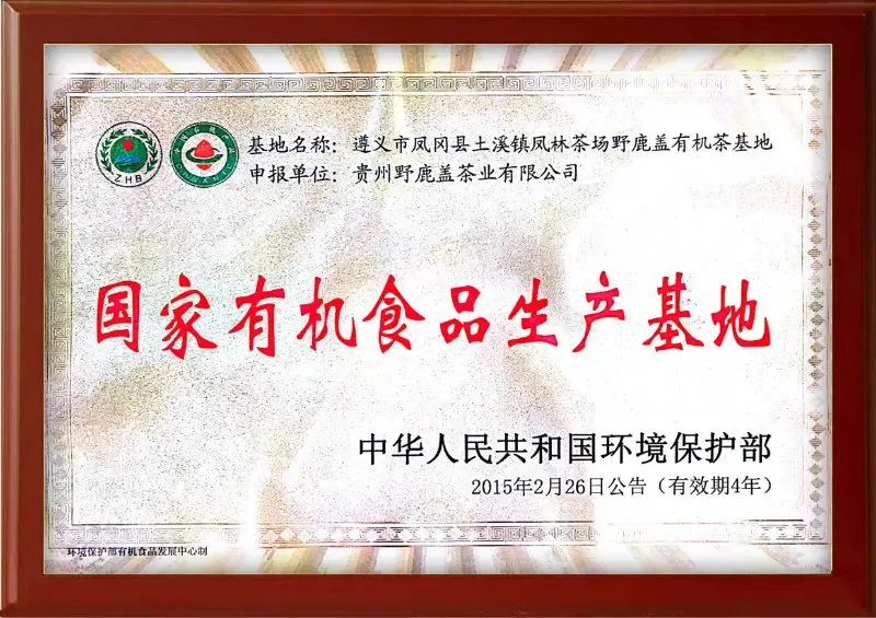 荣誉证书8