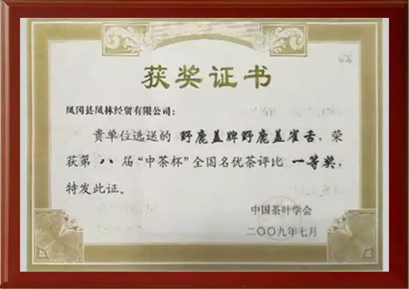 荣誉证书12