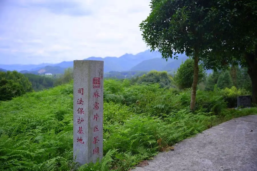 麻窝片区图1
