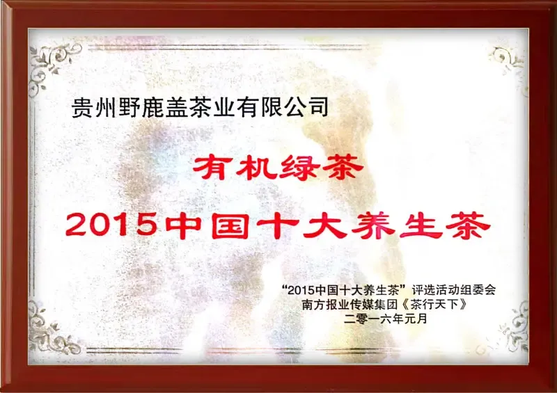 荣誉证书6