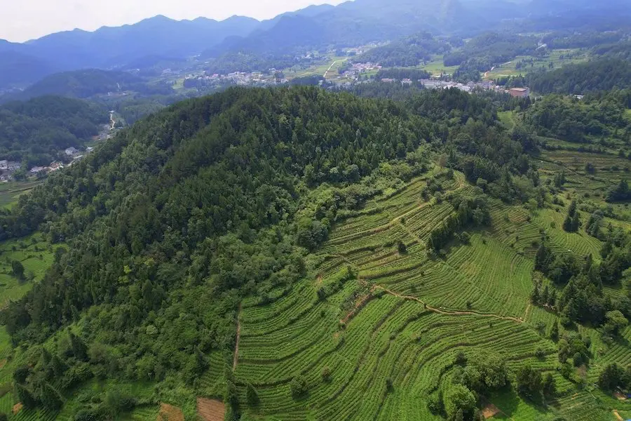 大面山片区图3
