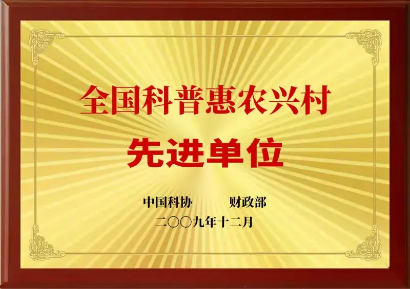 荣誉证书13